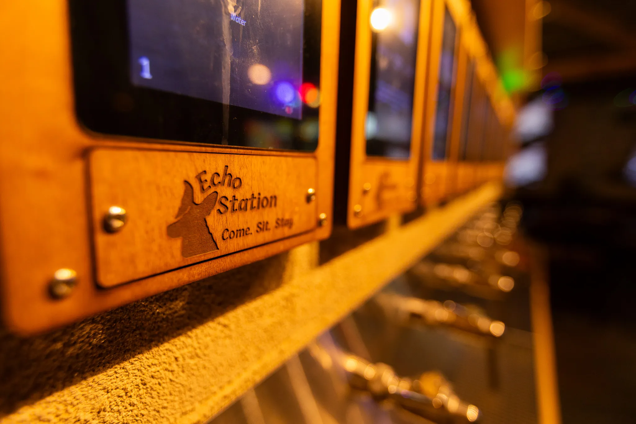 A wood-engraved Echo Station tap plate with Echo's silhouette and "Come. Sit. Stay.", mounted below a self-pour screen